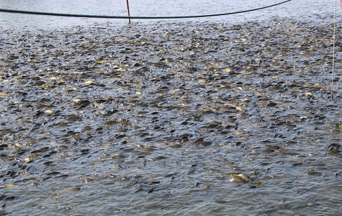 1677737936209521.png image.png