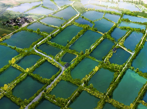 1677822227117163.png image.png