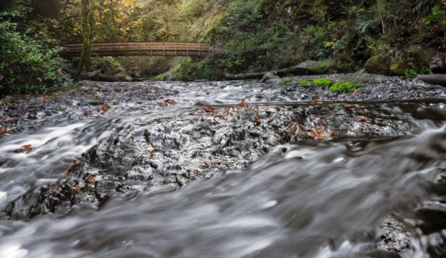 自來(lái)水公司為什么要用水質(zhì)在線監(jiān)測(cè)儀？（自來(lái)水水質(zhì)檢測(cè)設(shè)備）