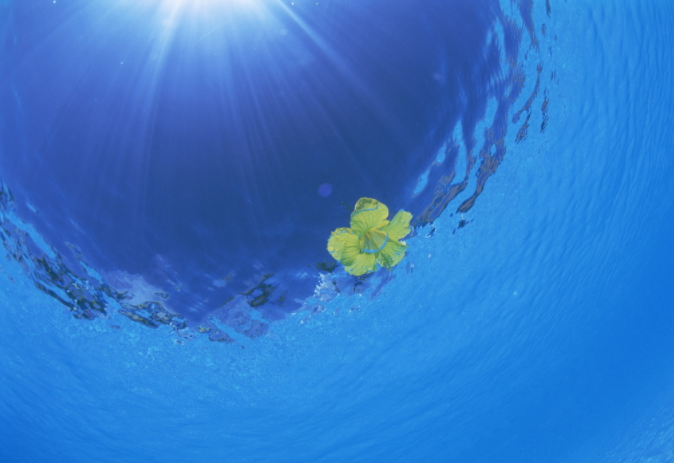 水質(zhì)采樣器應(yīng)該怎樣保養(yǎng)與維護？（水質(zhì)采樣器注意定期清潔和消毒）