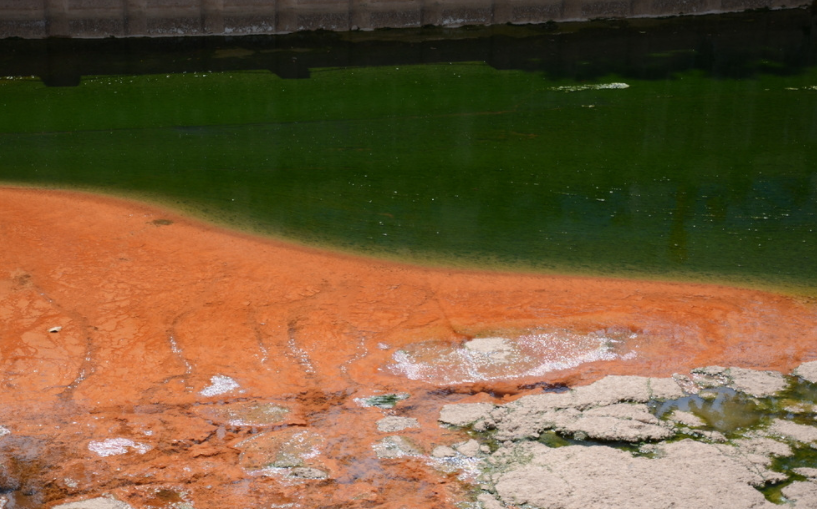 水質重金屬分析儀：快速評估污染水體