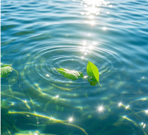 手持水質檢測儀可檢測的項目（萊恩德手持水質檢測儀的優(yōu)點）