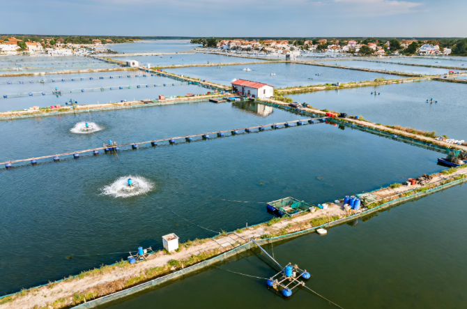 如何快速檢測水產(chǎn)品抗生素殘留？萊恩德LD-SK抗生素檢測儀操作指南